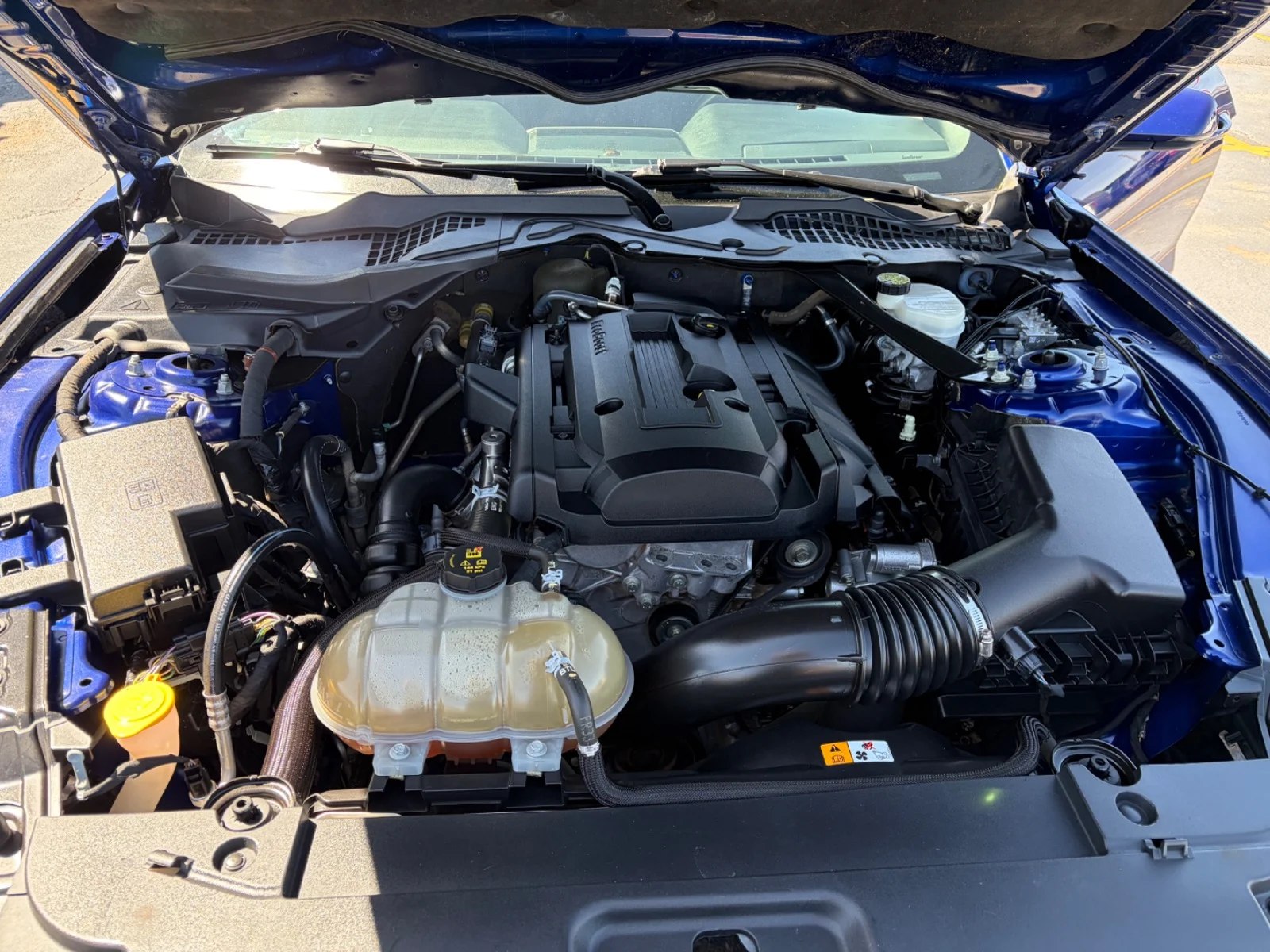 2016 FORD Mustang I4 Convertible